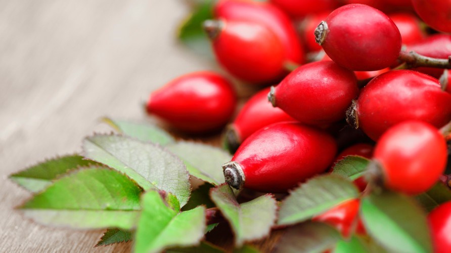 Rosehips with leaves.